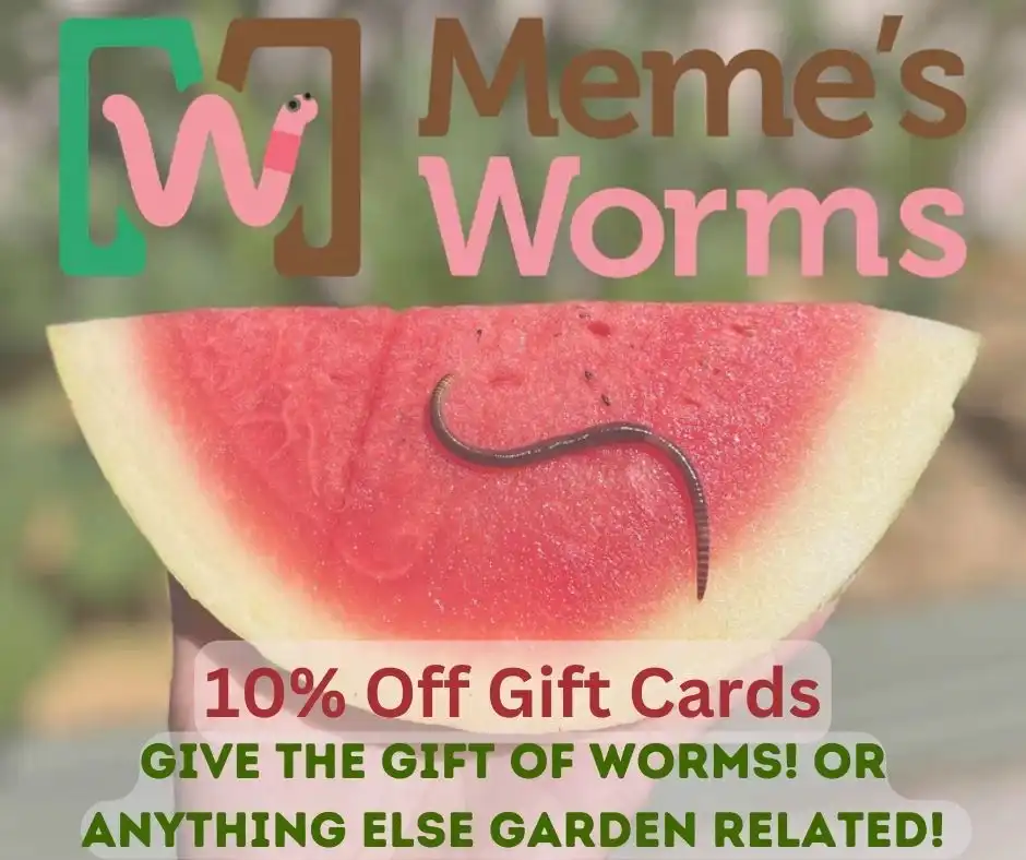 Meme's Worms - High-Quality Red Wigglers, European Nightcrawlers